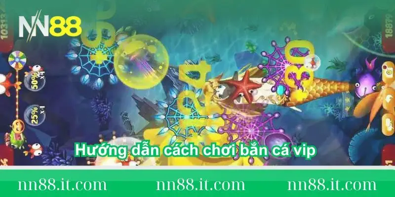 huong-dan-cach-choi-ban-ca-vip-tai-nn88
