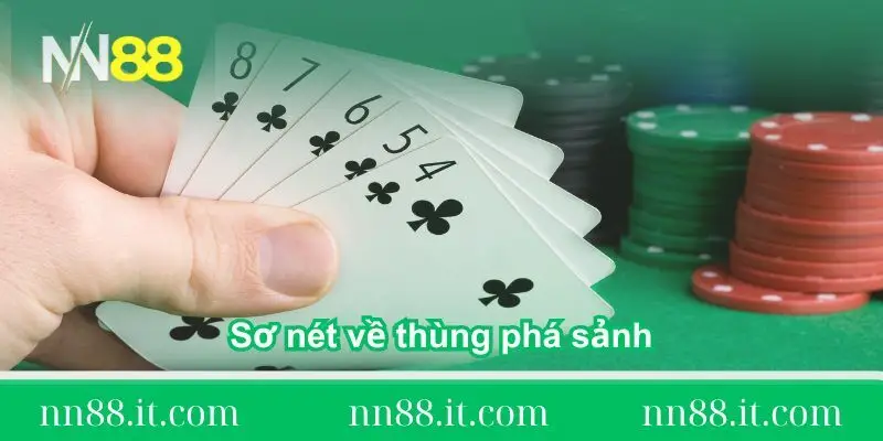 khai-quat-so-net-ve-thung-pha-sanh